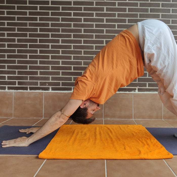 Flexibilidad y fortaleza con Adho Mukha Shvanasana o "el perro boca abajo"