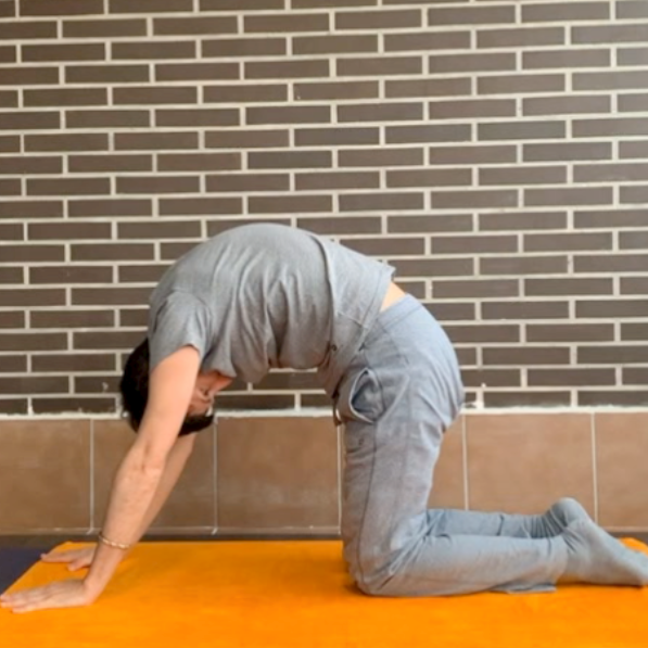 Marjarasana I o el Gato