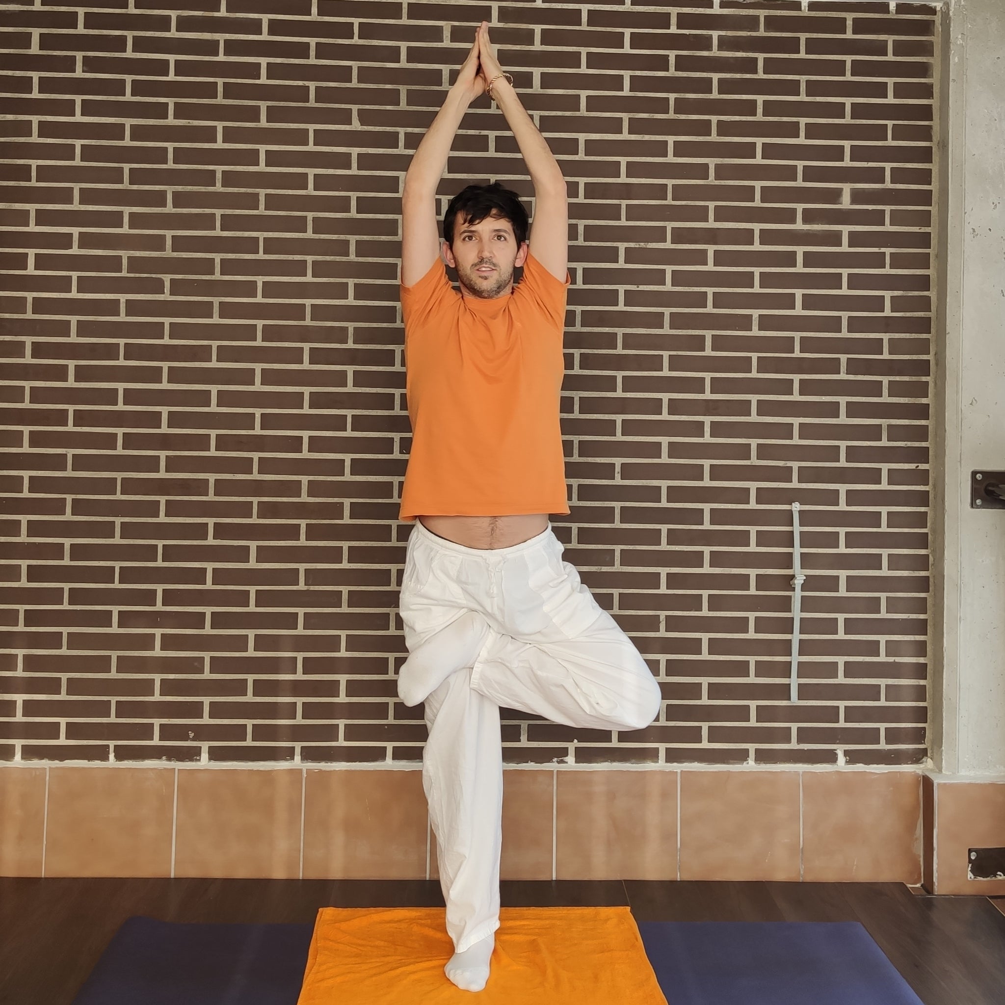 Incorpora una asana sencilla y eficaz de equilibrio en la sesión con la postura del árbol o vrksasana