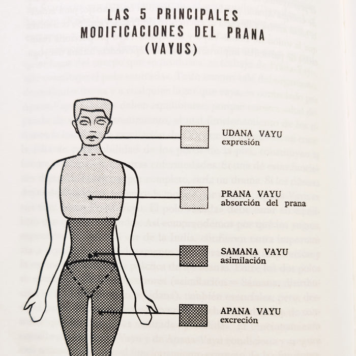 Los vayus o la acción del prana en el cuerpo energético