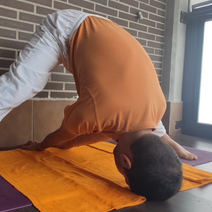 Te presentamos nuestra sesión de yoga y meditación que puedes hacer y cambiar día a día